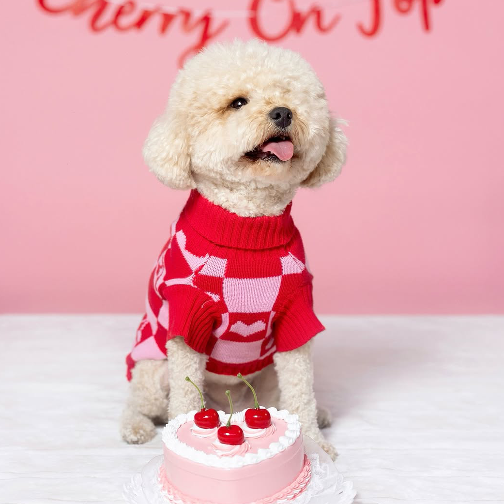 Roll Neck Dog Knitted Love Sweater