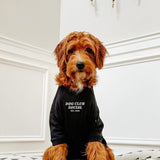 Dog Tee