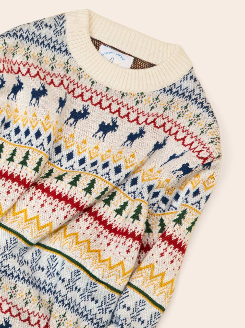 Mistletoe Sweater (Dog & Kids)