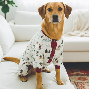 Fun Fam Surfing Santa Pajama (Dog & Kids)