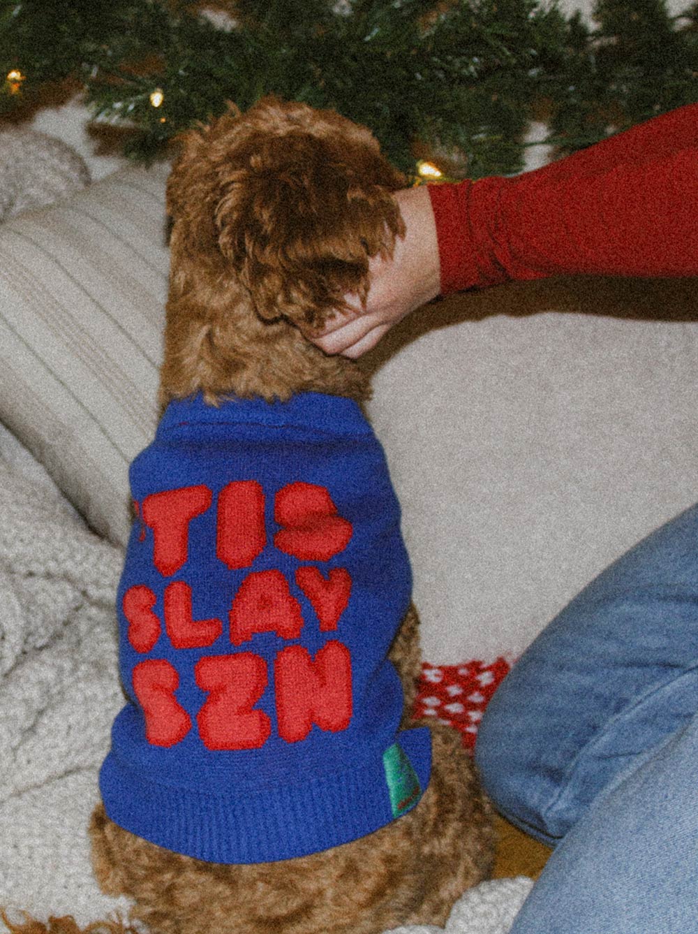 'Tis Slay Szn Sweater