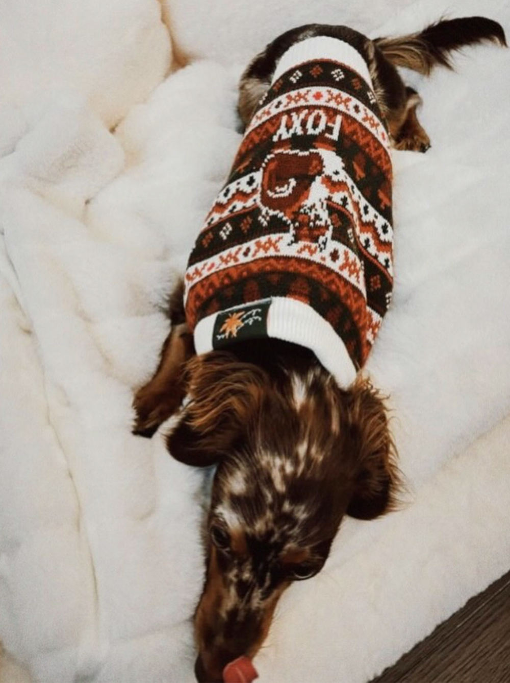 Foxy Dog Sweater | Dog Threads™ Thick Fall Autumn Knit Sweater Foxy Dog Sweater | Dog Threads™ Thick Fall Autumn Knit Sweater