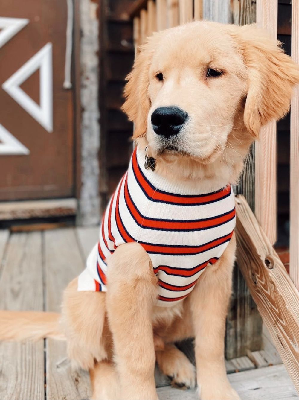 Rugby Sweater (Adult & Kids)