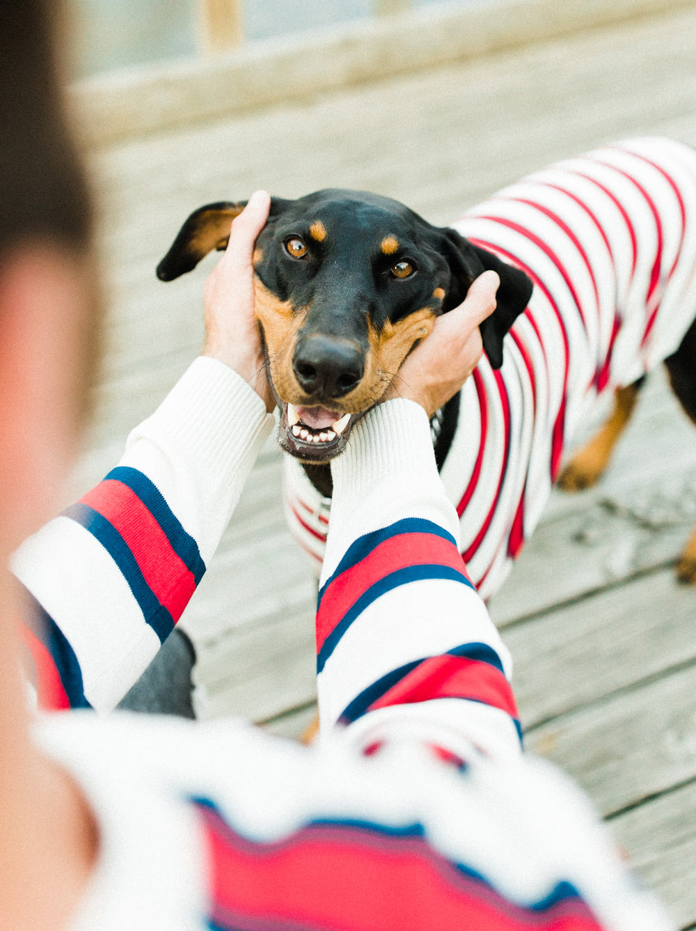 Rugby Sweater (Adult & Kids)