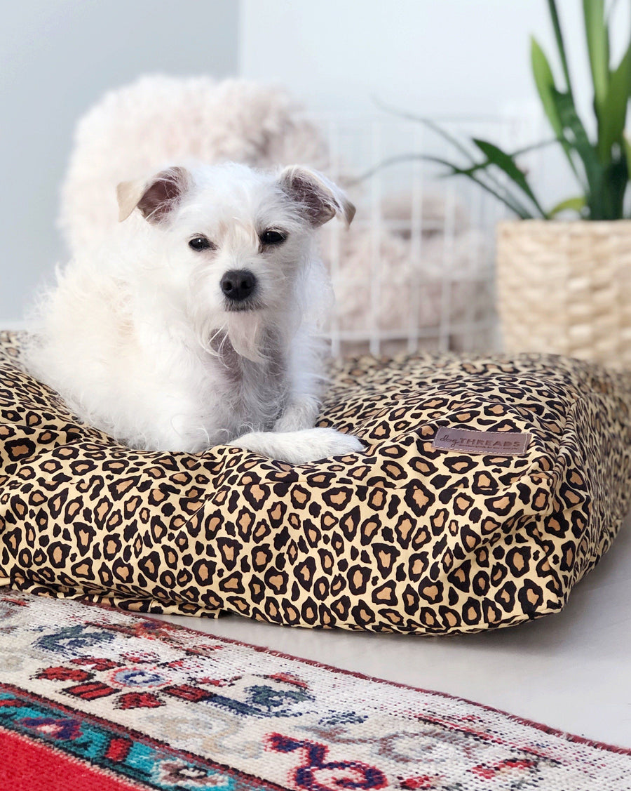 10 Stylish Dog Beds To Match Your Pup + Your Home