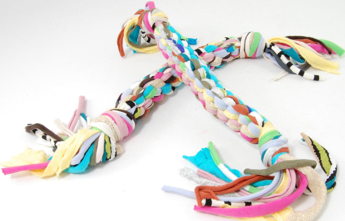 10 Things To Do with Your Dog During Quarantine