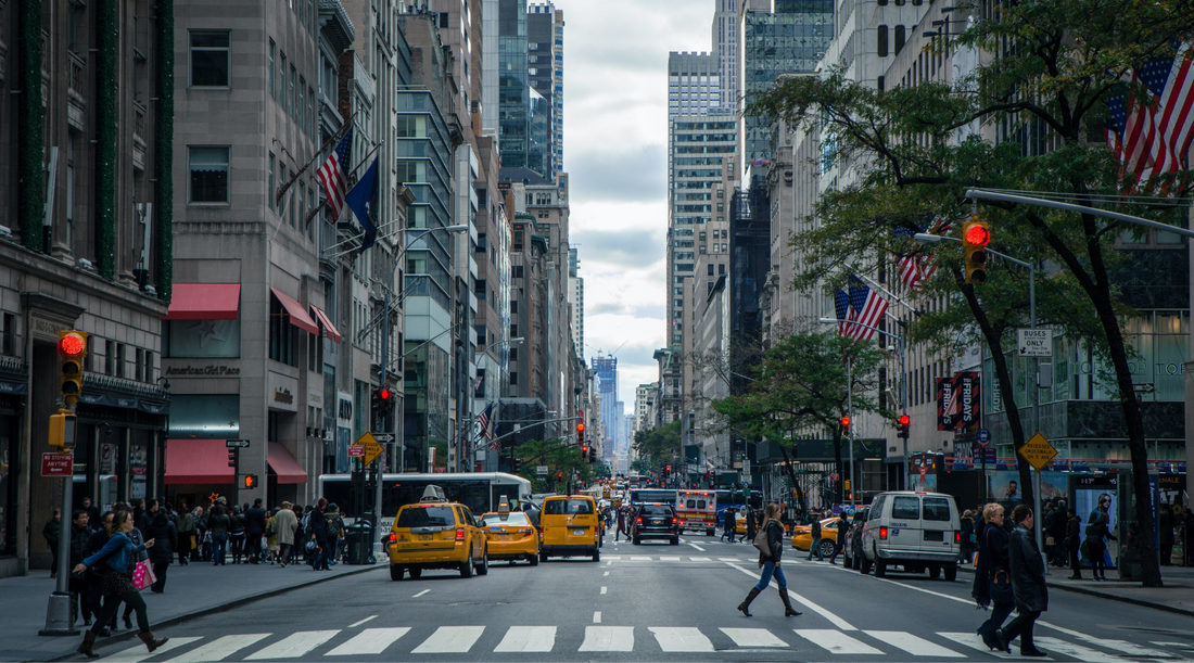Dogs Influencers: NYFW Fall 2022