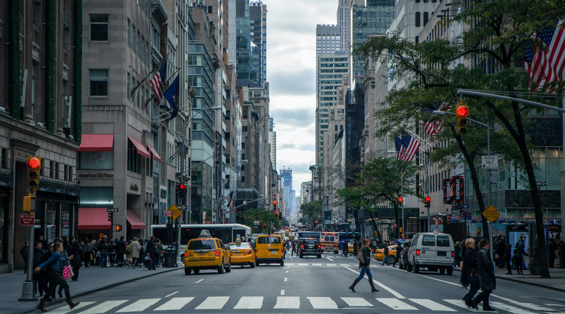 Dogs Influencers: NYFW Fall 2022