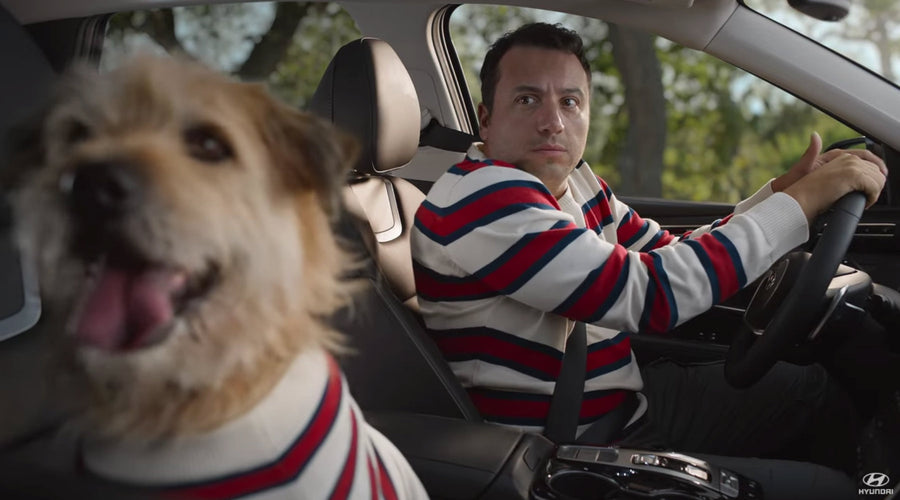 Hyundai Commercial: Matching Dog and Owner Sweaters