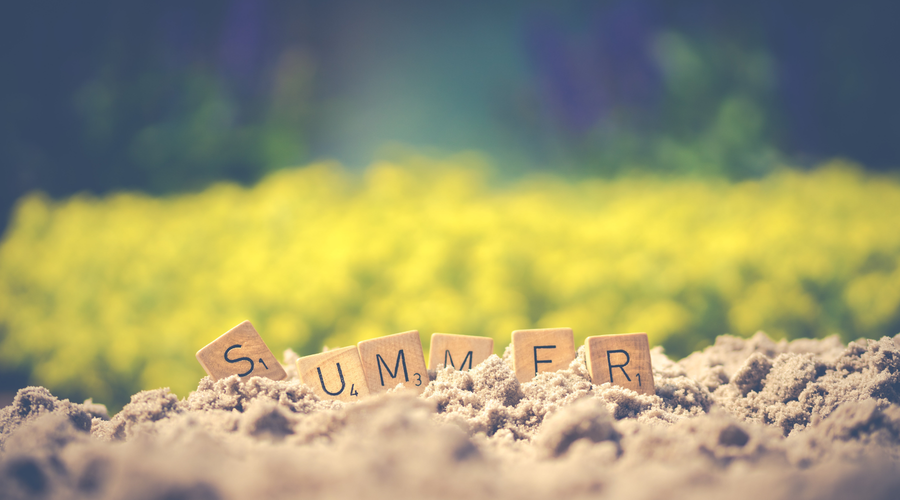 How to Help With Your Pup’s Hotspot