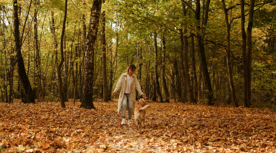 Fall Staples for Dog Lovers