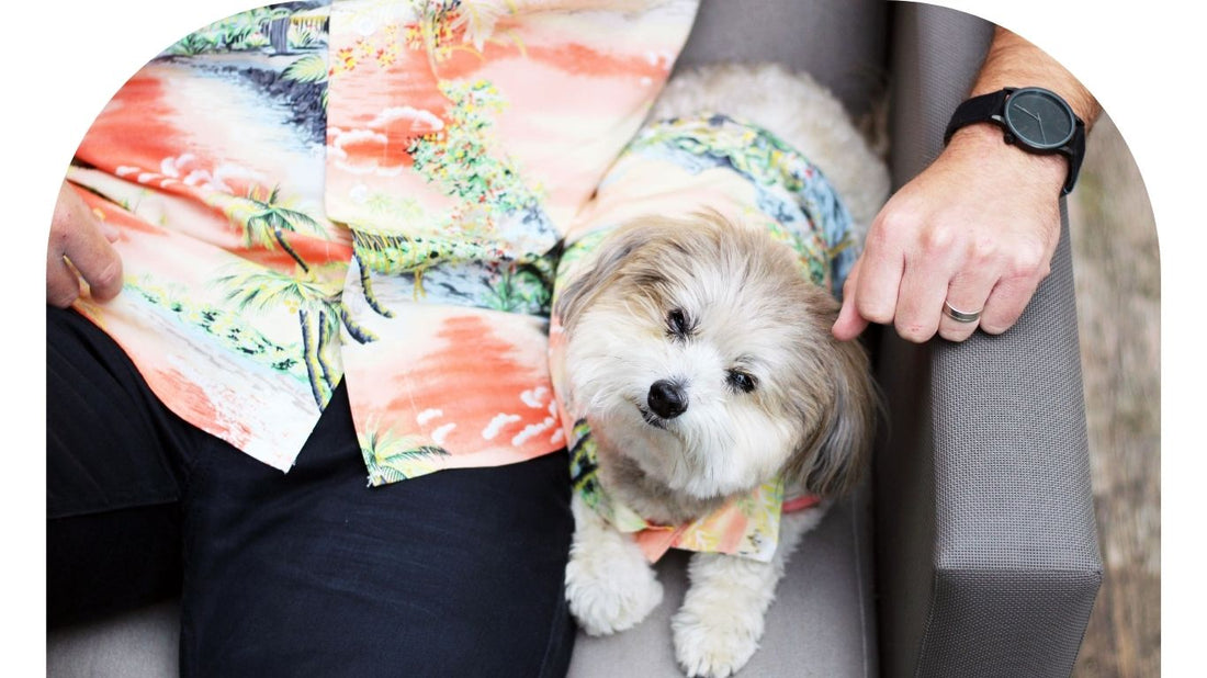 Thomas — the face of Dog Threads