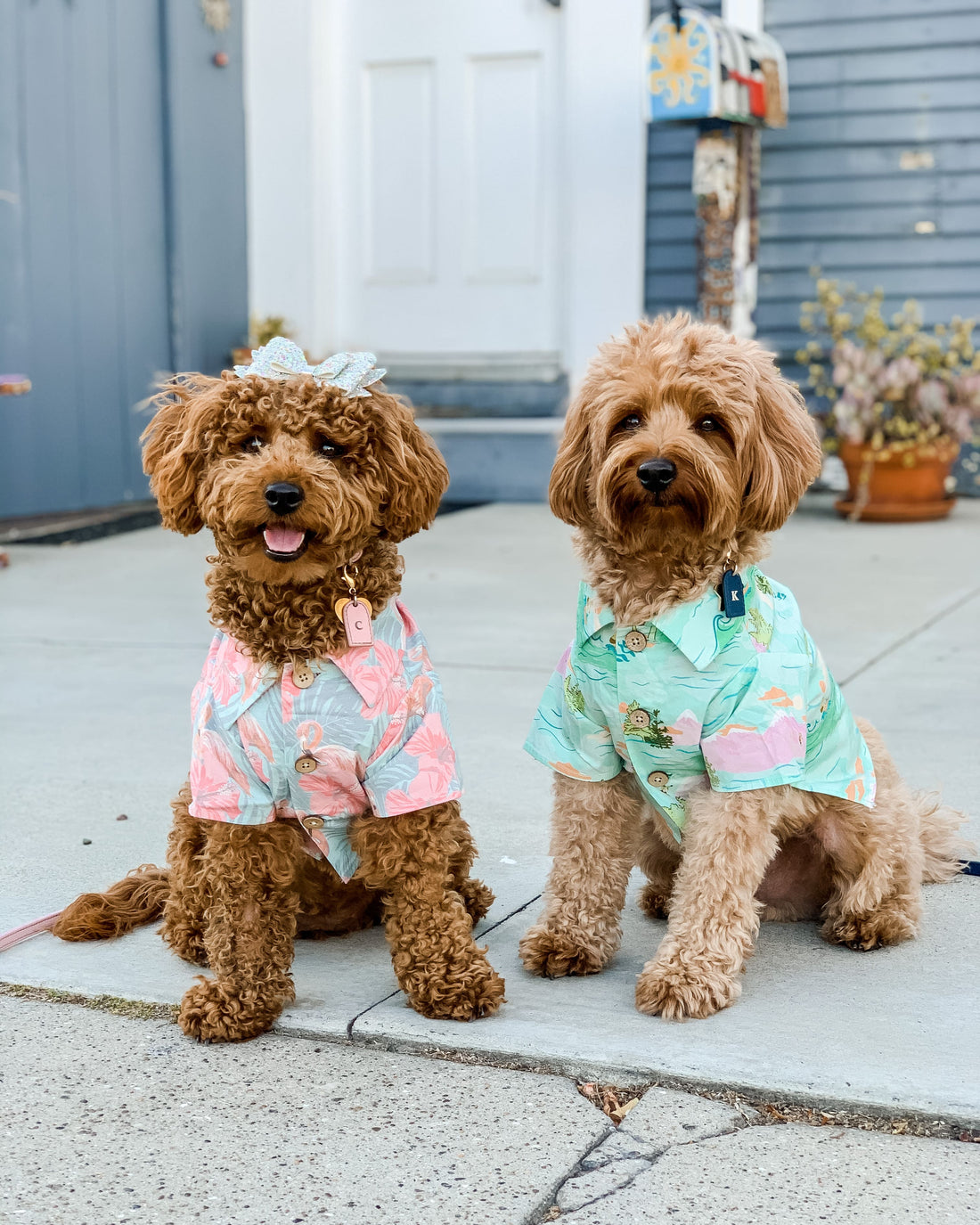 Hawaiian Print Shirts for Dogs