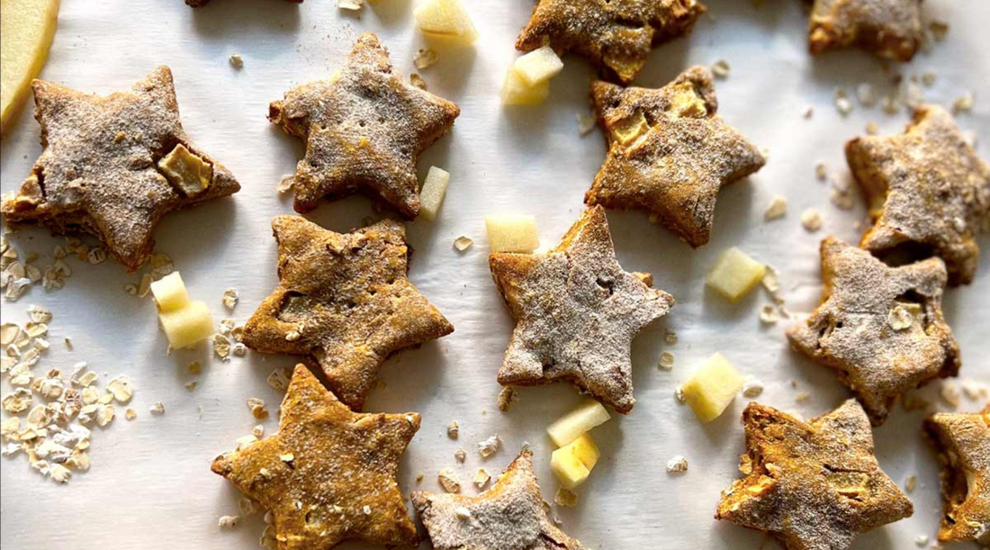 Homemade Fall Inspired Dog Treats