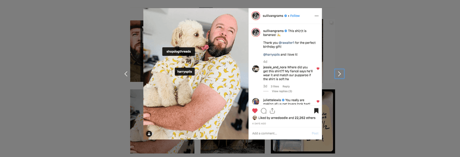 Chris Sullivan from This Is Us | Celebrities Matching Their Dogs