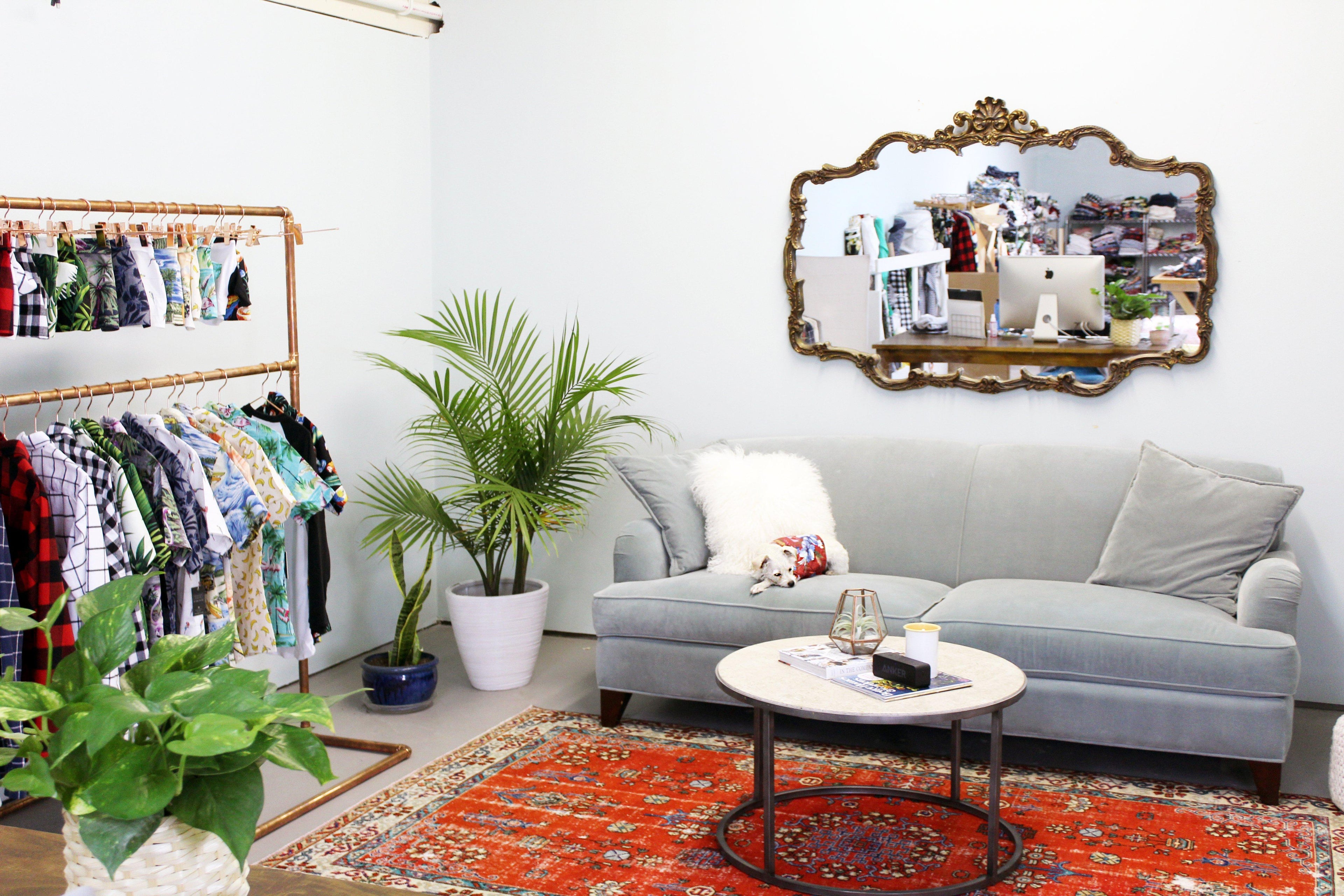 DIY Modern Dog Clothing Rack