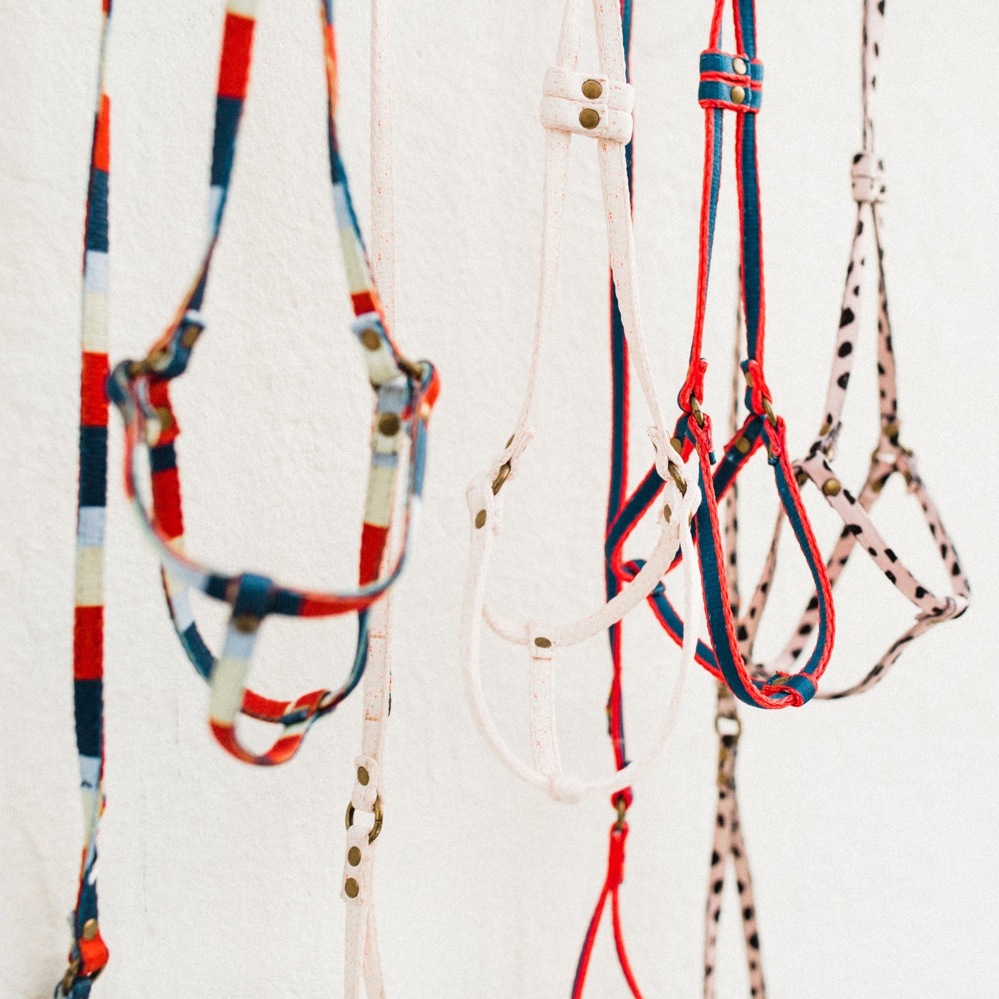 Cute Dog Walking Harnesses