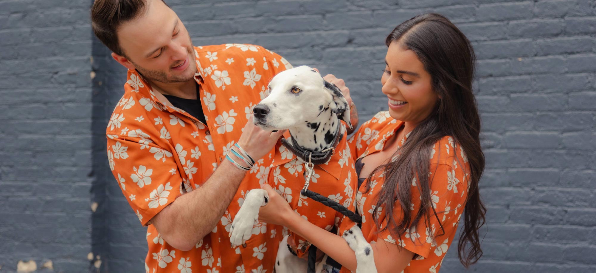 Summer Must Haves for Dog Parents