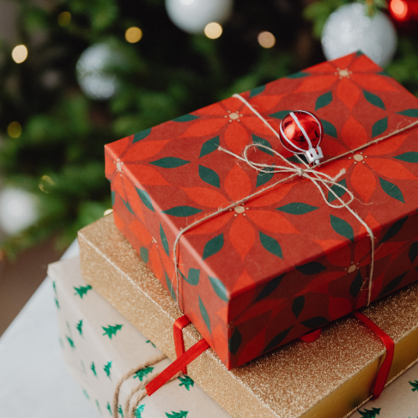Top 10 Gifts for Dog and Owner
