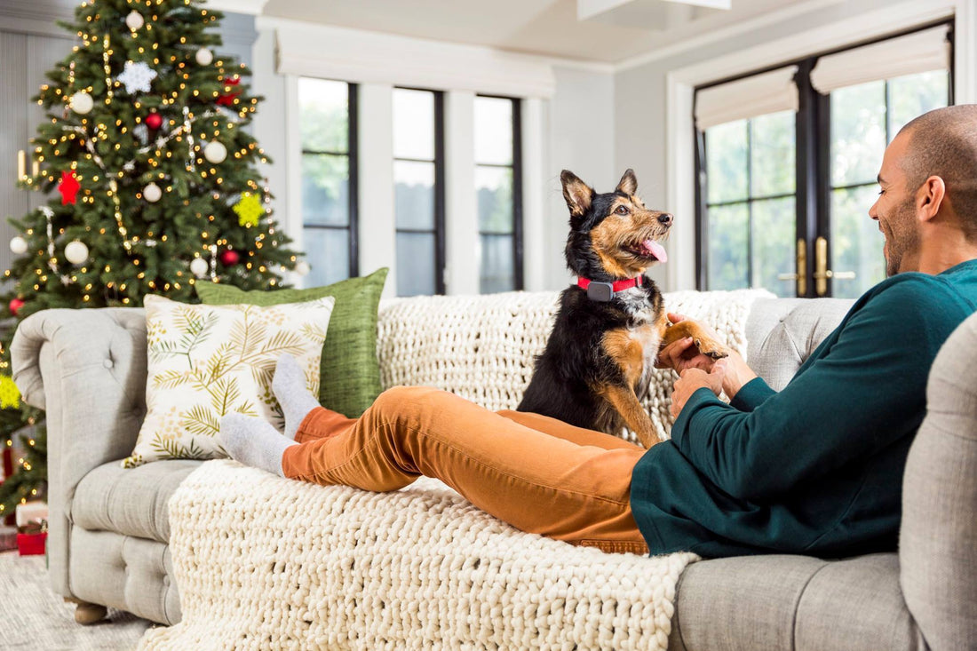 GPS Tracking Device for Your Pet