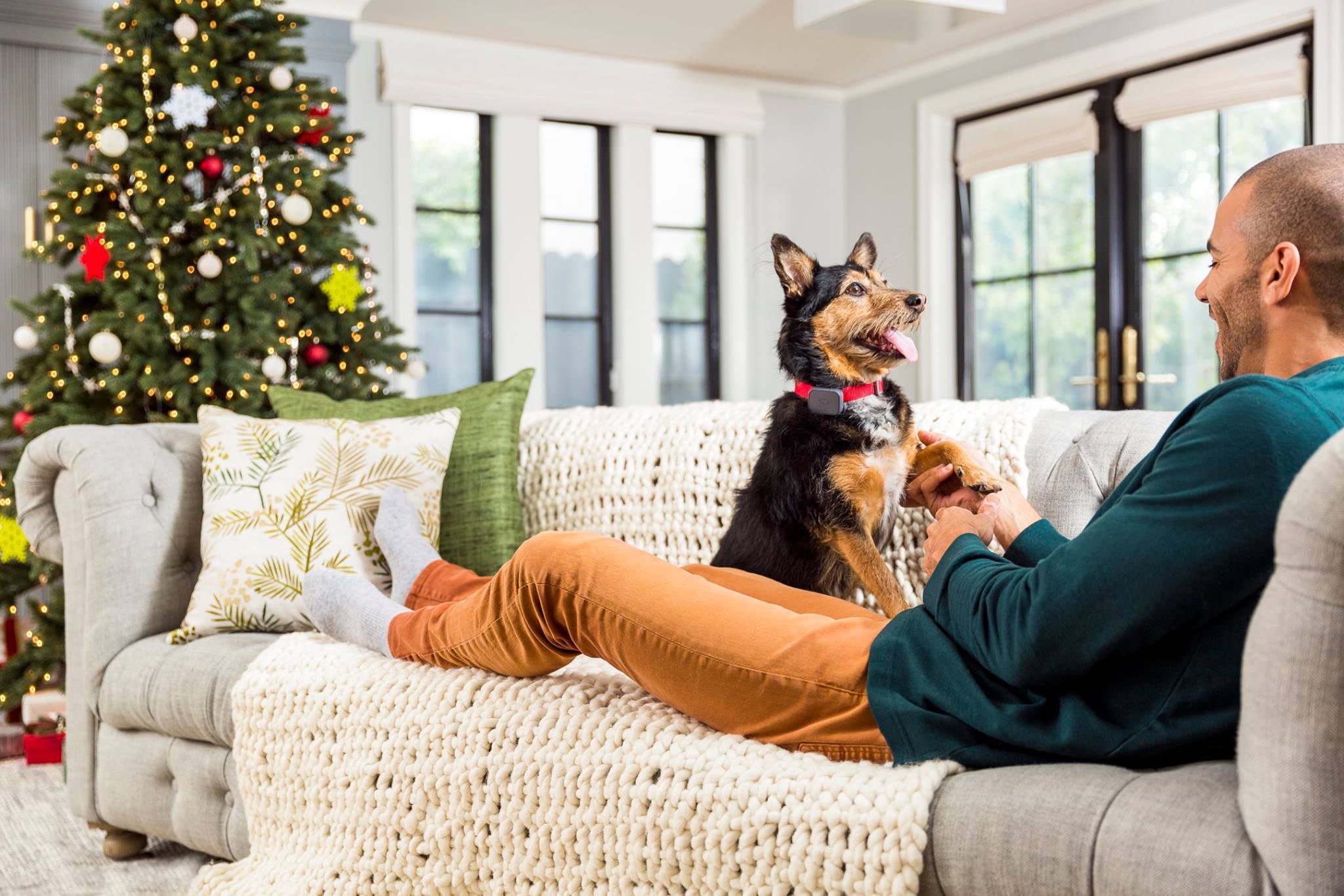 GPS Tracking Device for Your Pet