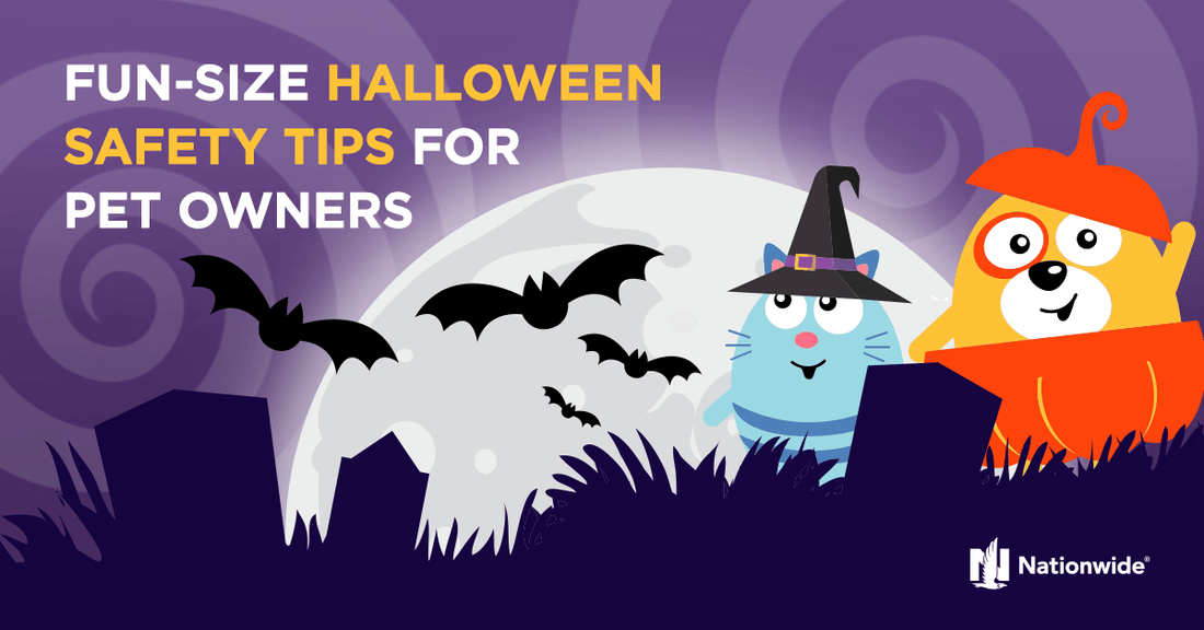 Halloween Pet Tips