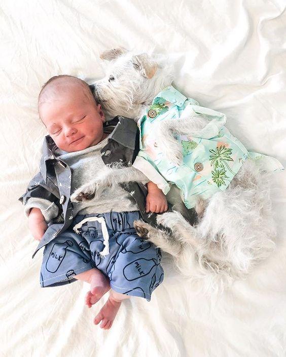 Introducing Your Dog To A New Baby