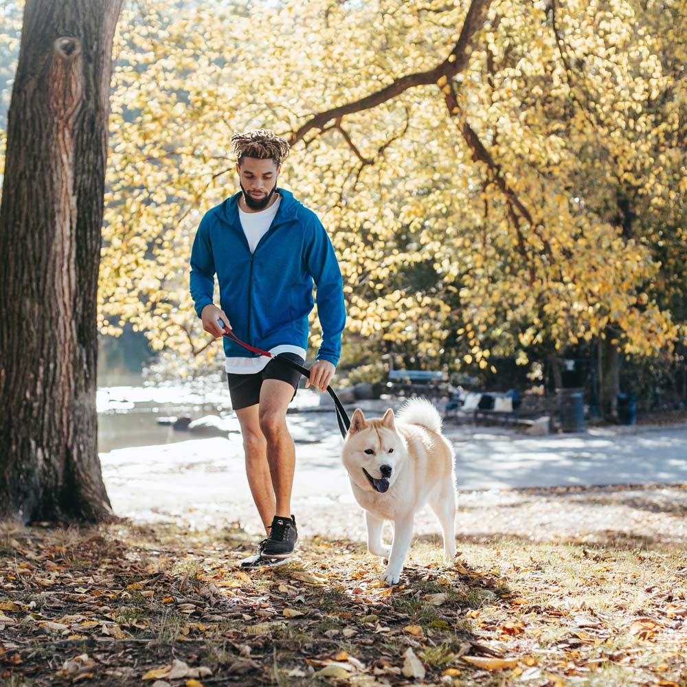 Tick Prevention: Why Your Pup Needs It