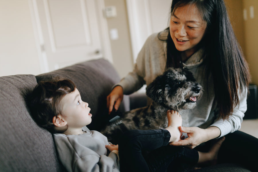 Dog Mom Gift Guide