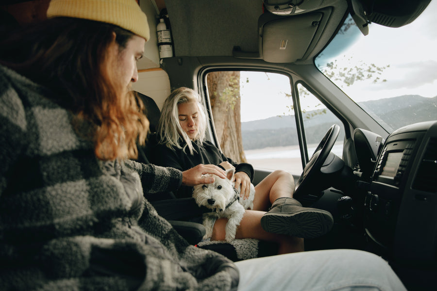 Road Trip Guide With Your Pup
