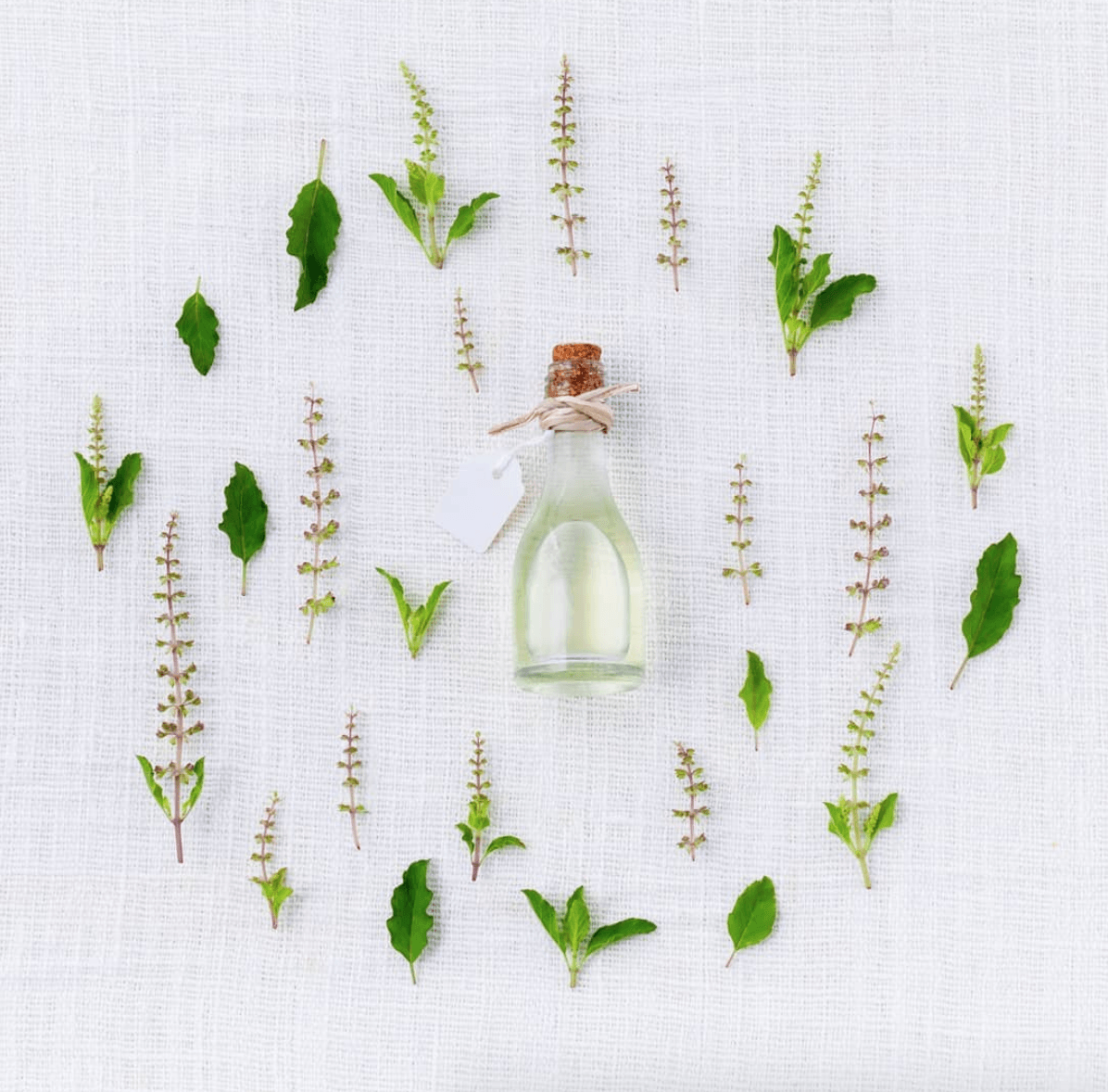 Seven Ways CBD Oil May Help Your Pet