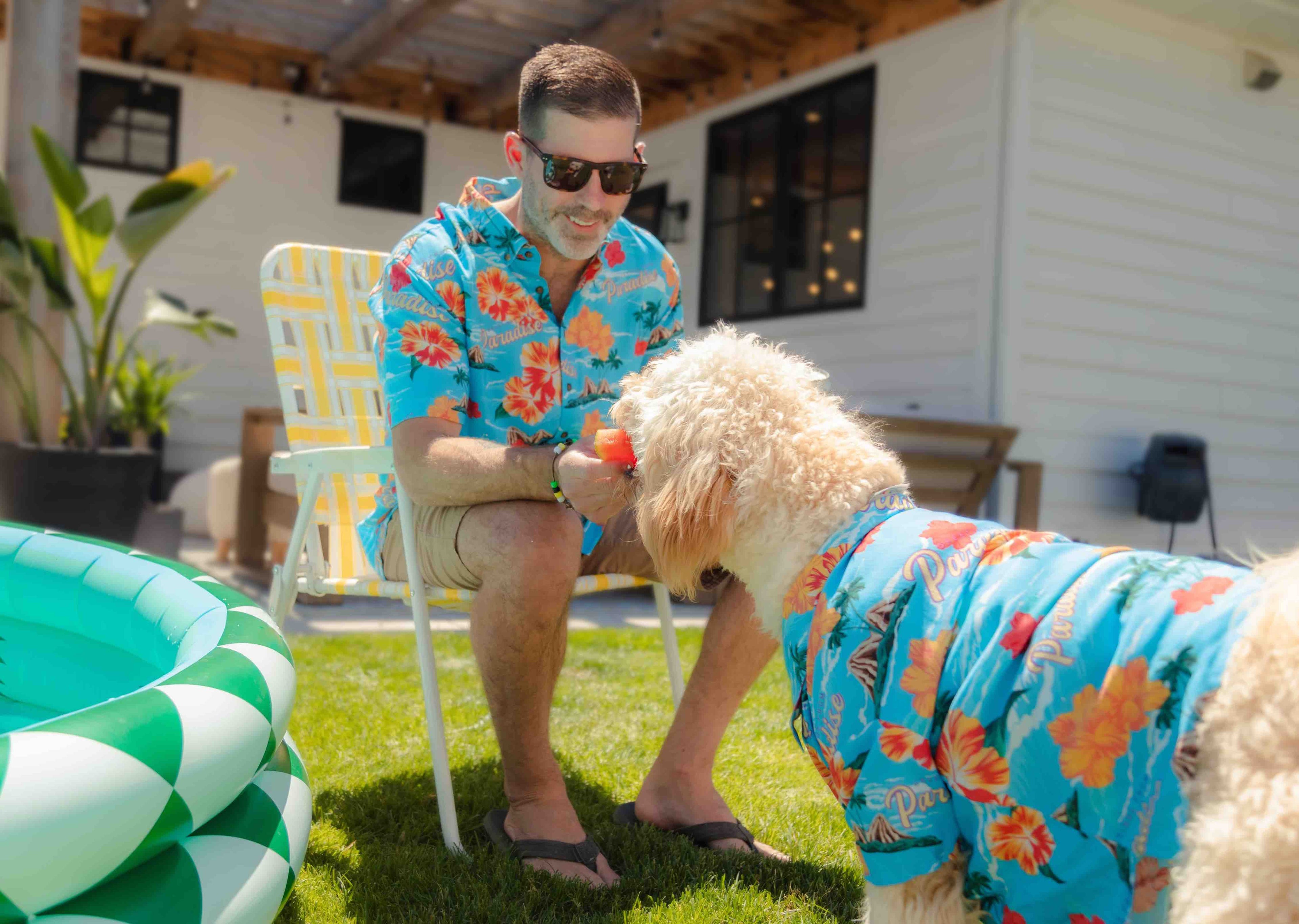 Summer Essentials For Your Pup