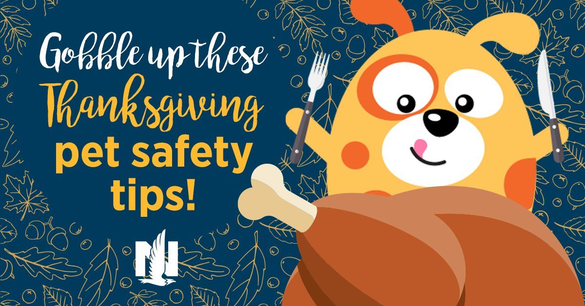 Thanksgiving Pet Tips