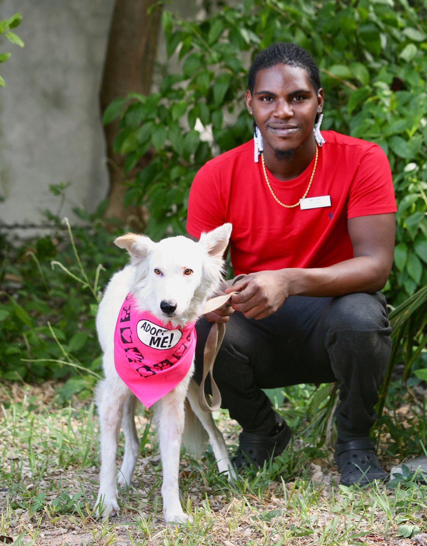 The Bahamas Humane Society
