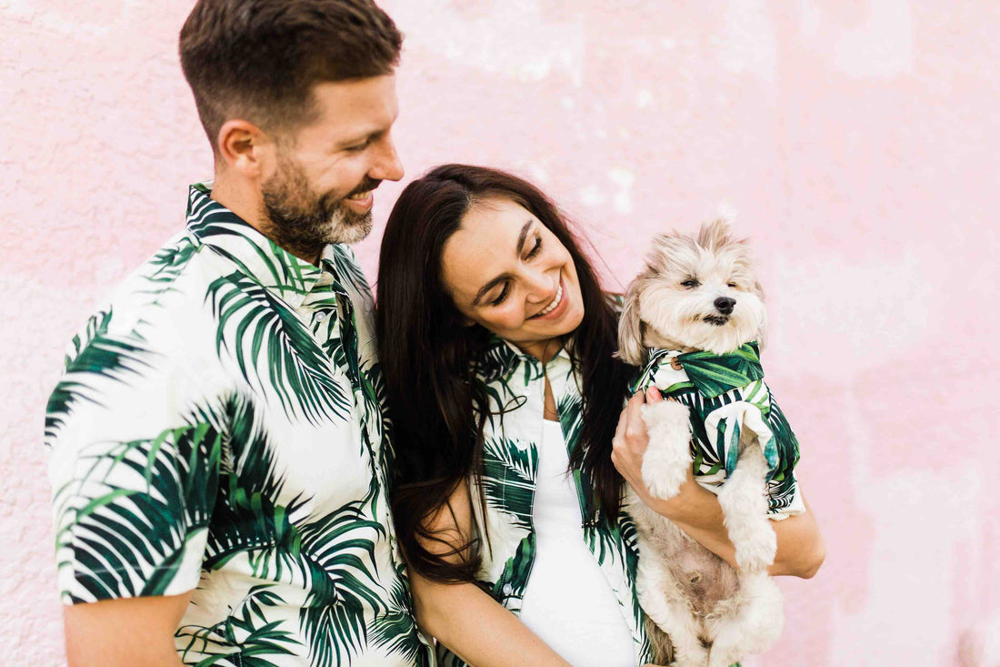 Good Thomas: A Brand Story