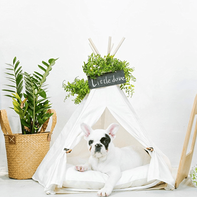 Top 10 Best Gifts for Dog Lovers and Dogs