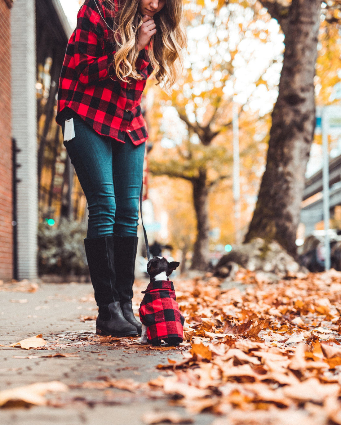 Top 10 Gift Guide for Dog and Animal Lovers 2018