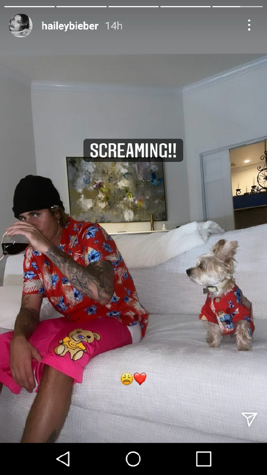 Justin Bieber and His Dog in Matching Hawaiian Print Shirts