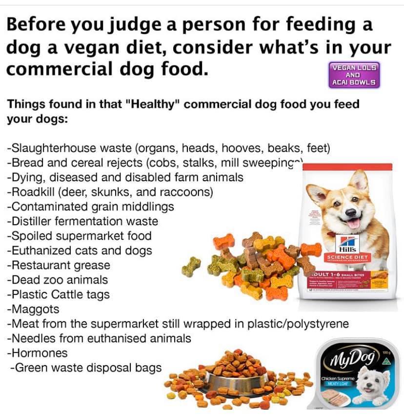 Why Vegan Dog Food?