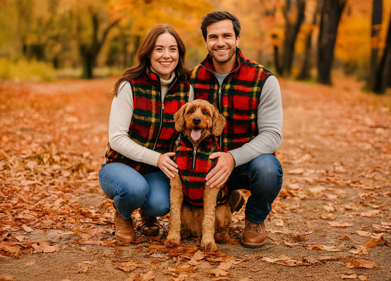 Fall Favorites