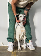 Fleece Jogger (Adult)