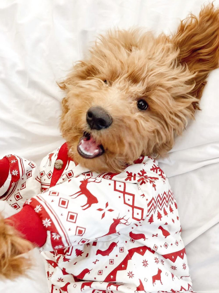 Women's Cute Puppy Dog All-Over-Print Cotton Jersey Knit Pajama Shorts
