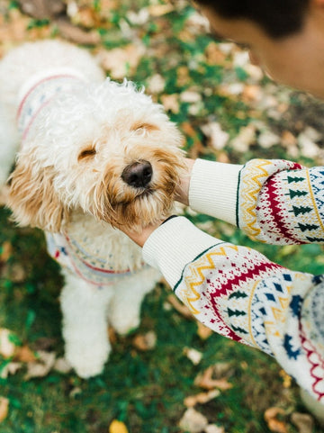 Embroidered Dog Baseball Suit Korean Style Dog Jacket Fleece