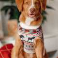 The Great Yukon Sweater