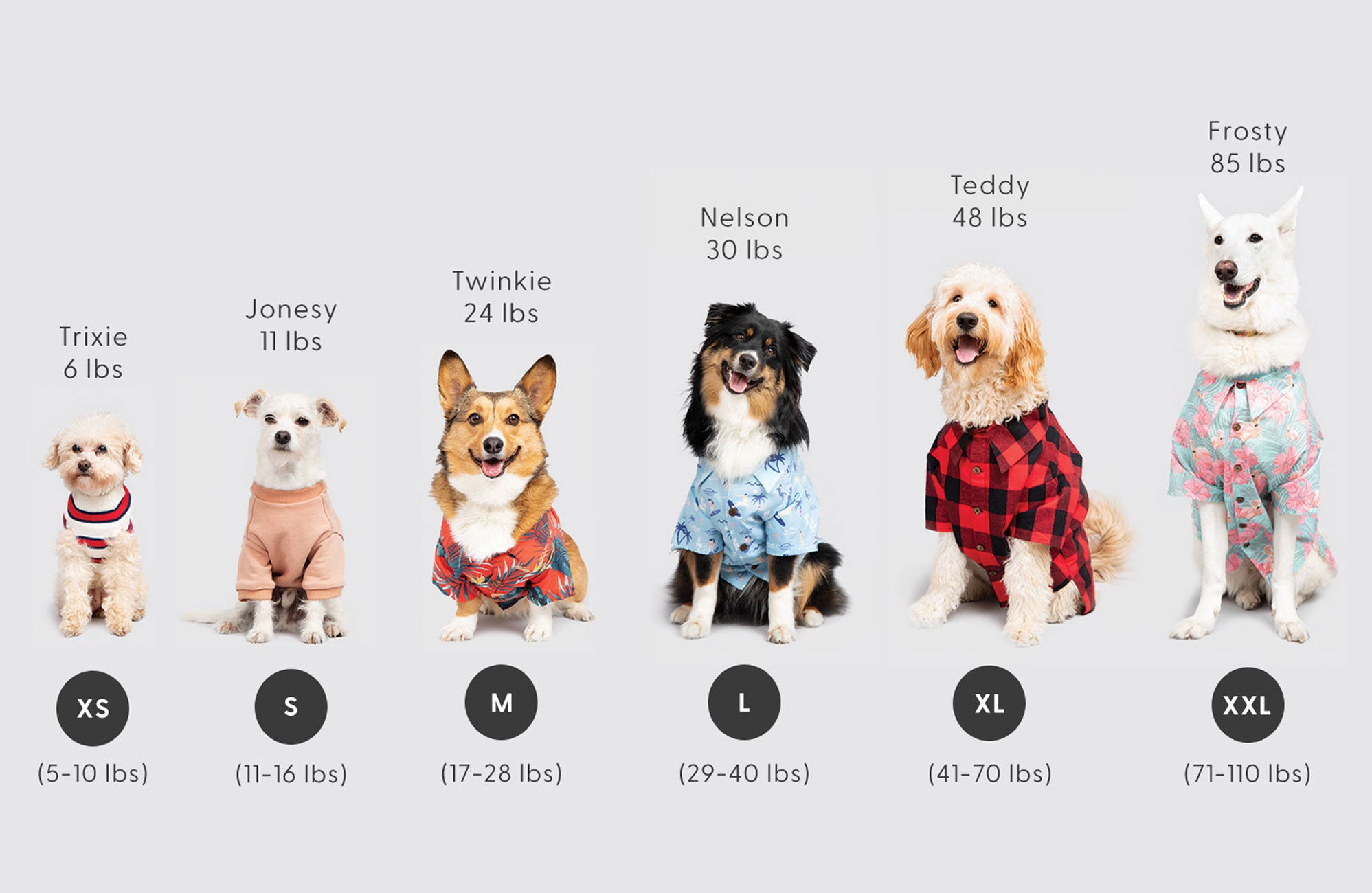 Tis Slay Szn Sweater | Cheeky Holiday Dog Sweater by Dog Threads