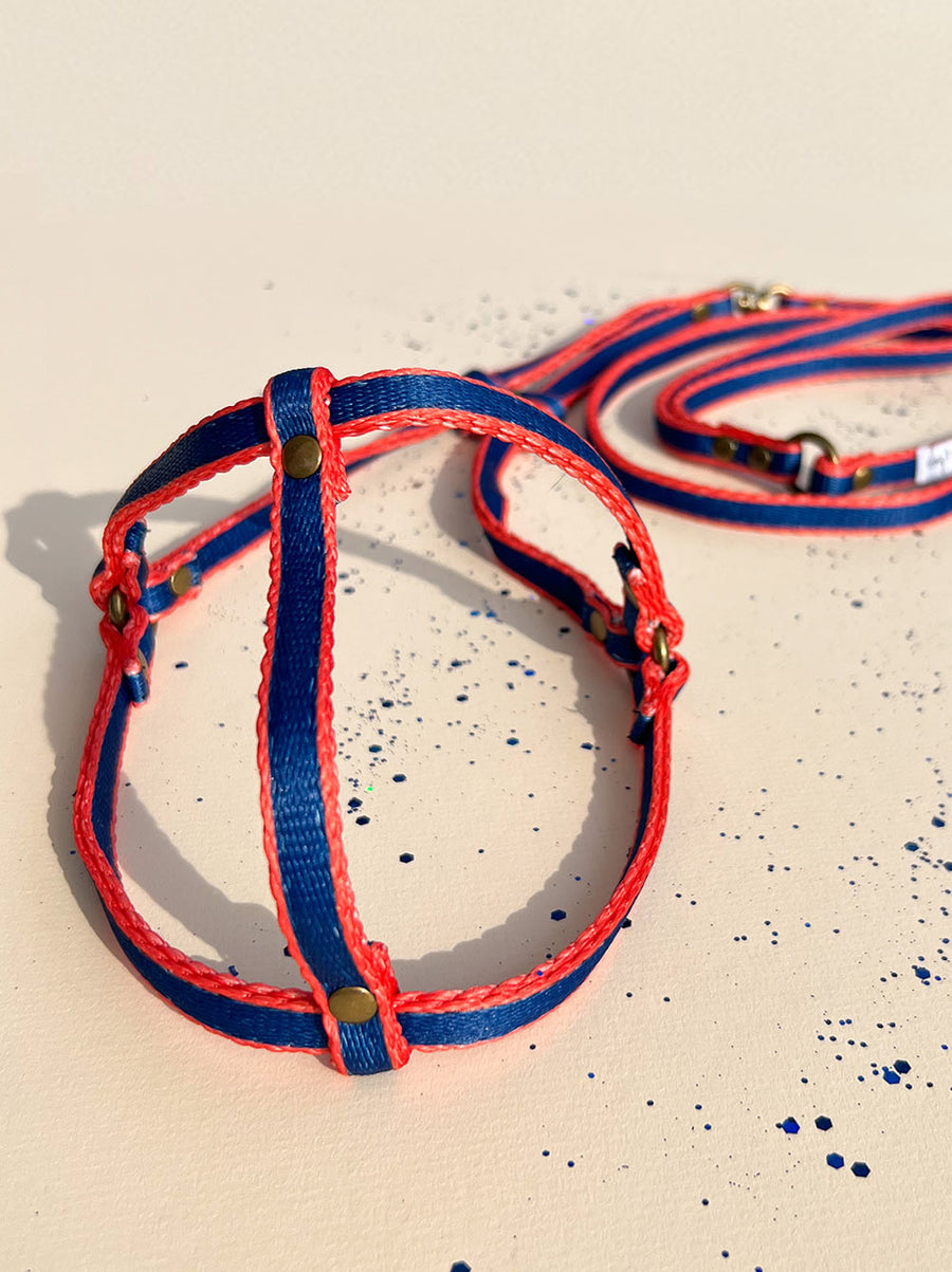 Sporty All-In-One Harness Leash