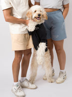 Embroidered Sweatshort (Adult)