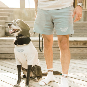 Human Embroidered Sweatshort
