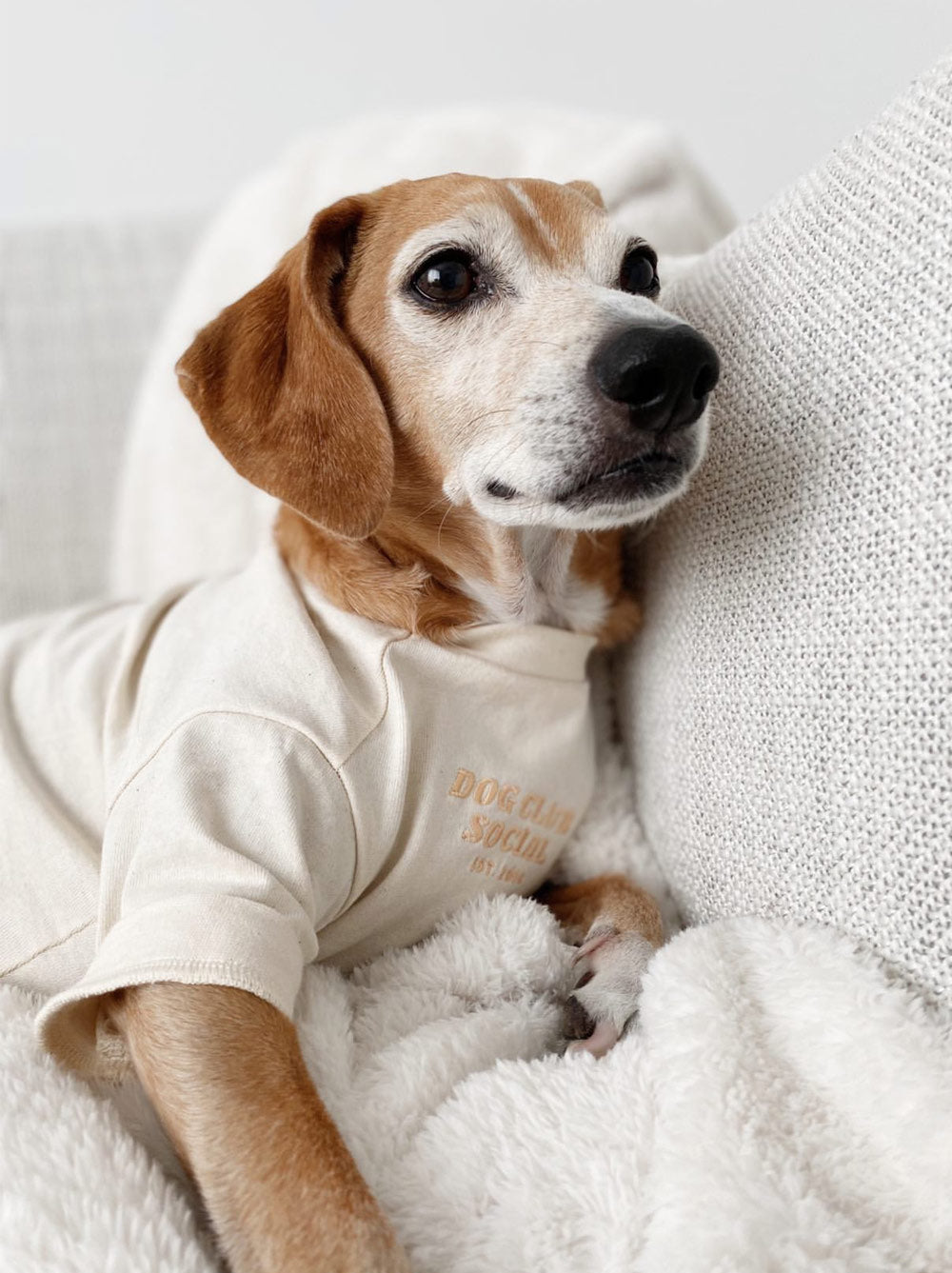 Dog Embroidered Tee