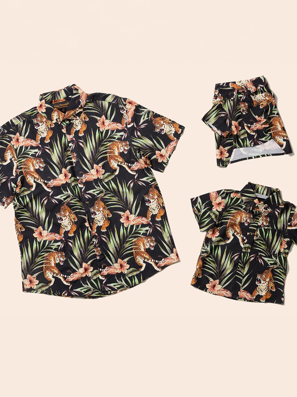 Cool Cat BBQ Shirt